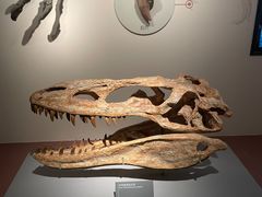 -自贡恐龙博物馆