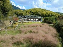 -宁波浙东大竹海景区