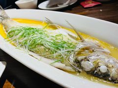 清蒸太湖白鱼-金枝玉叶上海人家食府(三里河店)