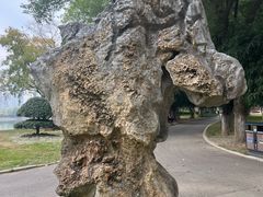 -汉水公园