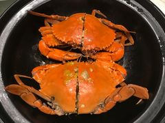 -大东海海鲜酒楼(渔人码头总店)