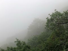 -阳台山自然风景区