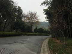 -苏州环秀晓筑养生度假村