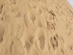 -黄沙古渡原生态旅游区