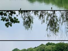 -茅家埠