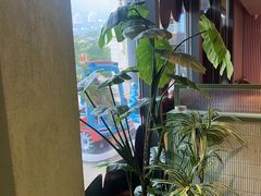 -椰小鸡·琼州糟粕醋·火锅(美兰缤纷城店)