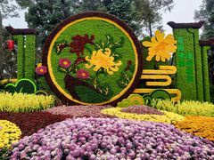 -南山植物园