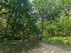 -楠溪江风景名胜区