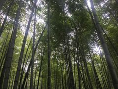 -陶祖圣境风景区