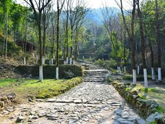 -仙霞关景区
