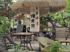 -桃源山庄·水蜜桃采摘·柴火鸡·烧烤团建(龙泉山店)
