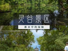 -灵谷景区