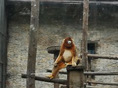 -石家庄市动物园