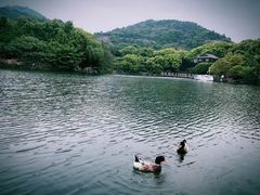 -白马涧龙池景区