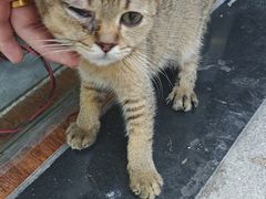 -派特宠物医院(圆融广场店)