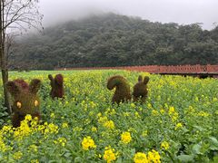 -广州市石门国家森林公园