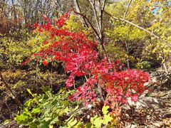 -丹东市五龙山风景区