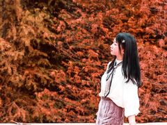 -云溪植物园