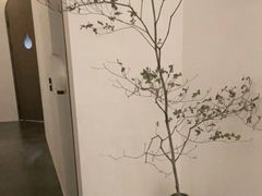 -中粮·祥云小镇
