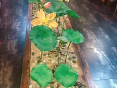 -素心斋素食餐厅