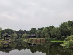 -日出青木