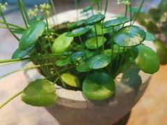 -左悦·艾灸调理·推拿按摩·精油SPA(卓悦汇店)