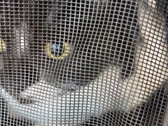 -贝康宠物医院·犬猫全科·小动物特色诊疗中心(东环路店)