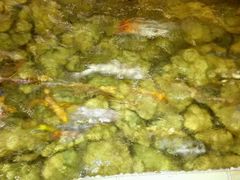 -泉城欧乐堡戏水湾艺术养生温泉