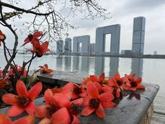-中山大学中山眼科中心(区庄院区)