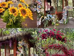 -七仙岭温泉国家森林公园