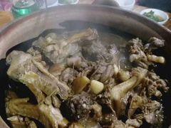 -霞姐屯昌枫木香草鸭店(海螺店)