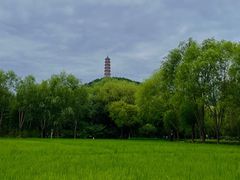 -北坞公园