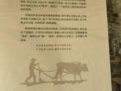 -靖港古镇