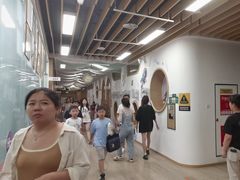 -新东方学习规划(南二环第一校区)