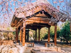 -三里河公园