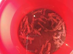 -秦皇岛阿尔卡迪亚滨海度假酒店