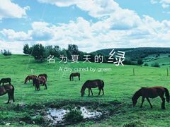 -塞罕坝国家级自然保护区