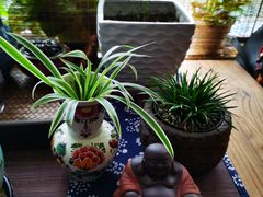 -阿男野栗王(金门路店)