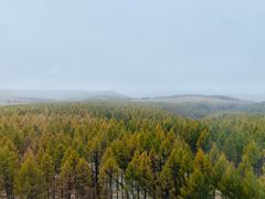 -塞罕坝国家级自然保护区