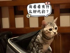 -热浪岛马来餐厅