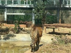 -昆明动物园