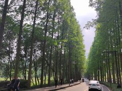 -青城山
