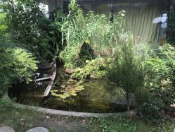 -罗亚帝·NASHOW纳秀形象设计