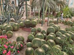 -石家庄市植物园