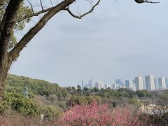 -无锡梅园公园