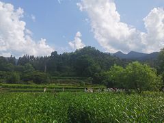 -石台牯牛降景区