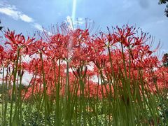 -白塘生态植物园