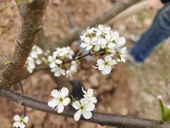 -半秋山西餐厅(巴南万达广场店)