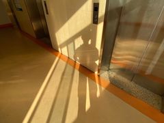 -福建医科大学附属第一医院(茶亭院区)