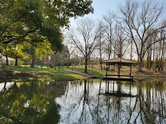 -上海共青森林公园